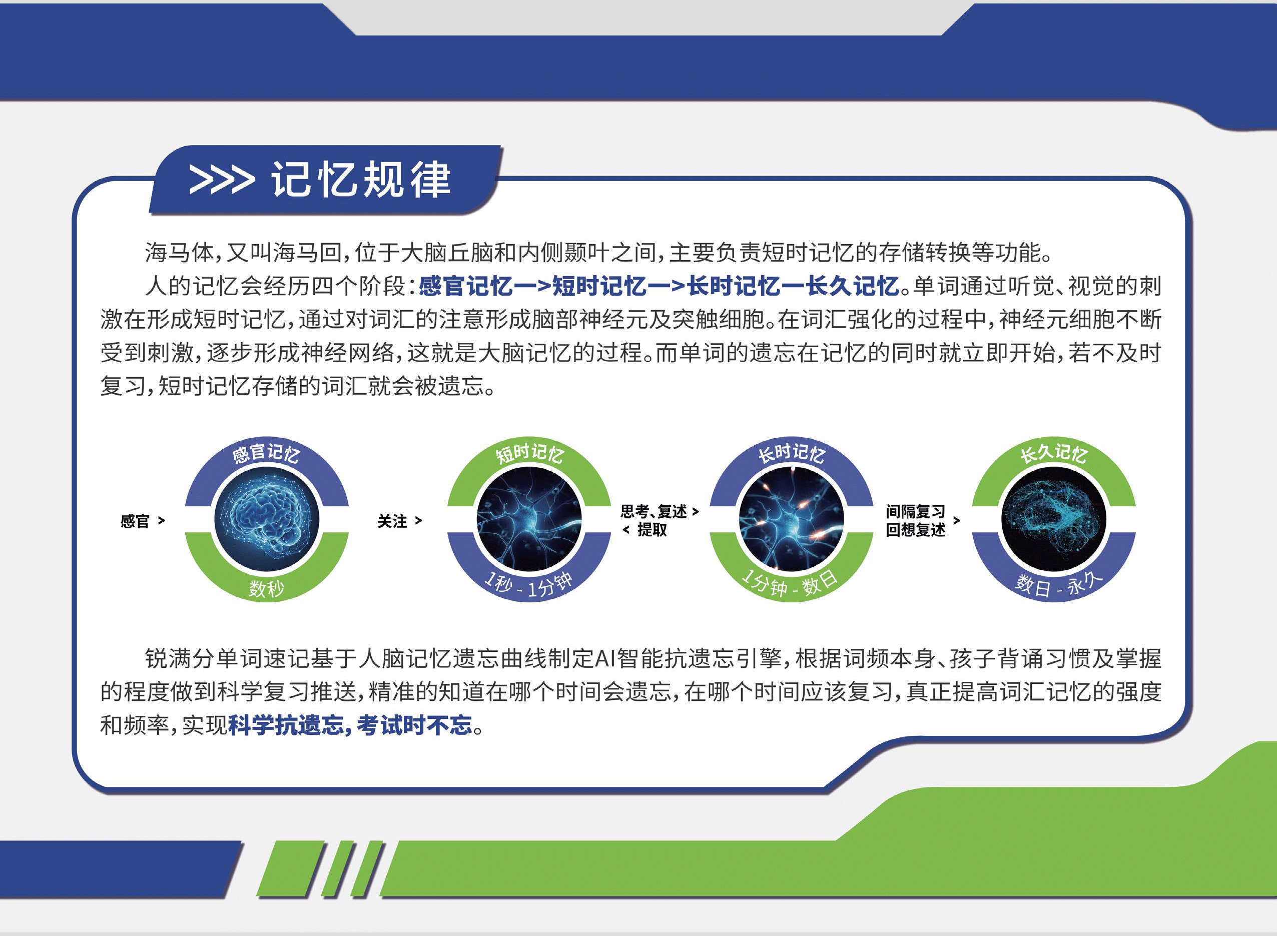 2025年青岛黄岛区七年级/八年级/九年级英语单词速记课程一对一定制提高，一周拿下中考词汇(2)