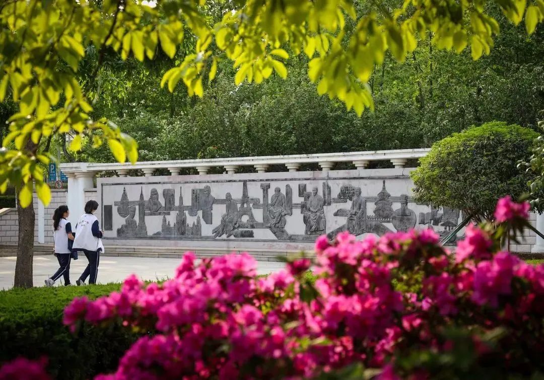 青岛优质高中详解—胶南一中(含25年招生计划、往年录取分数线、高考成绩等)(9) 青岛优质高中详解—胶南一中(含25年招生计划、往年录取分数线、高考成绩等)(9)