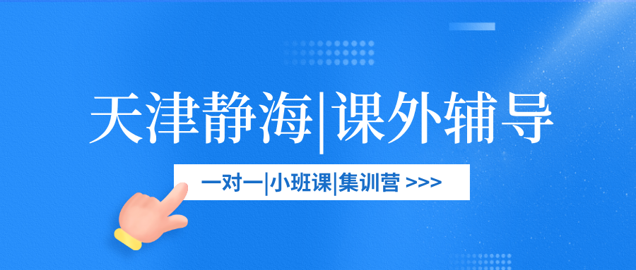 [测评]-天津静海区高中课外一对一辅导机构综合测评报告（2026年版）(1)