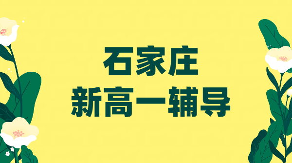 石家庄裕华长安新华桥西：初升高新高一先修