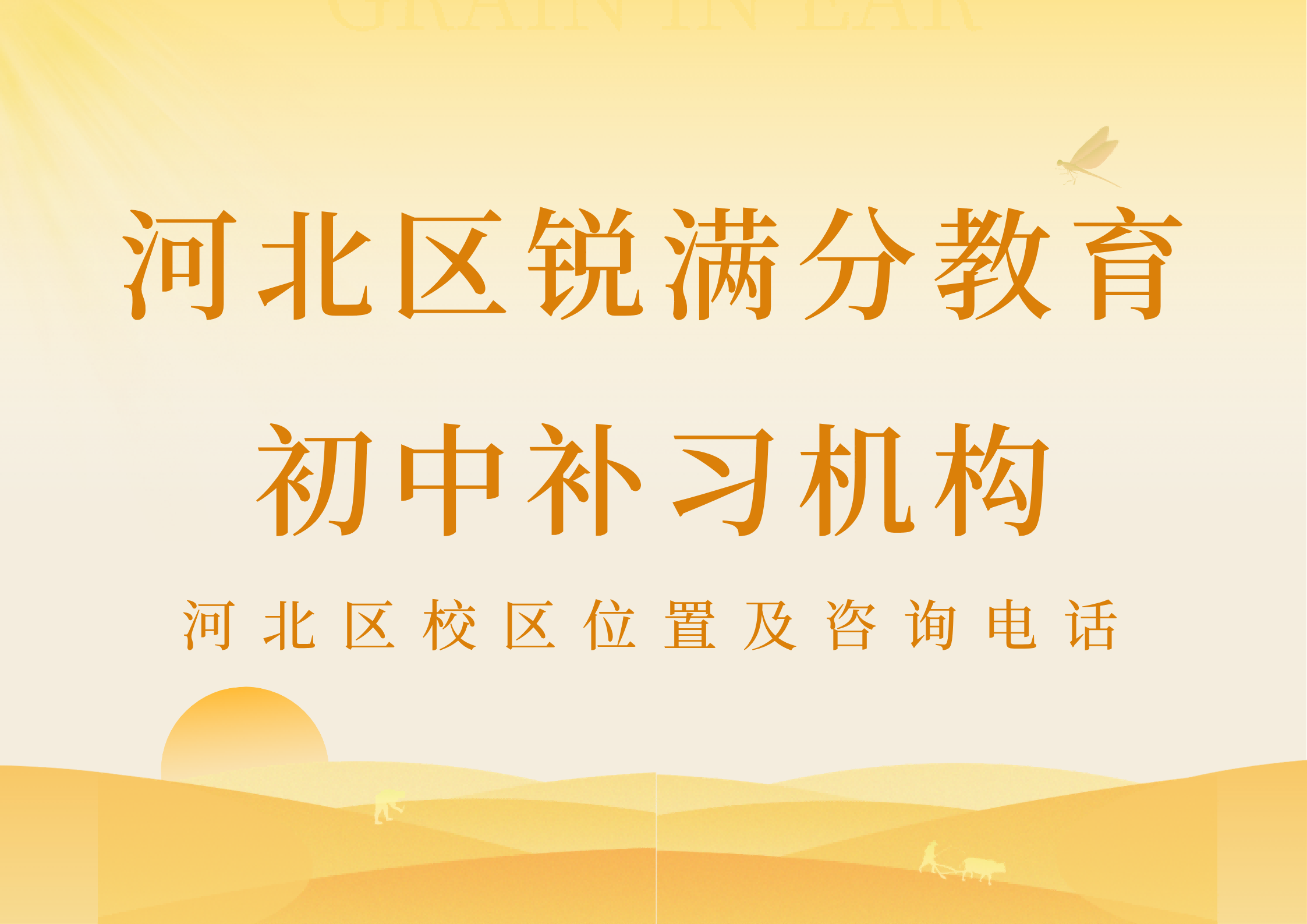 天津河北区初中培训机构有哪些，河北区初一/初二/初三理科/文科补基础/培优强化补习，锐满分教育制定专属教学计划