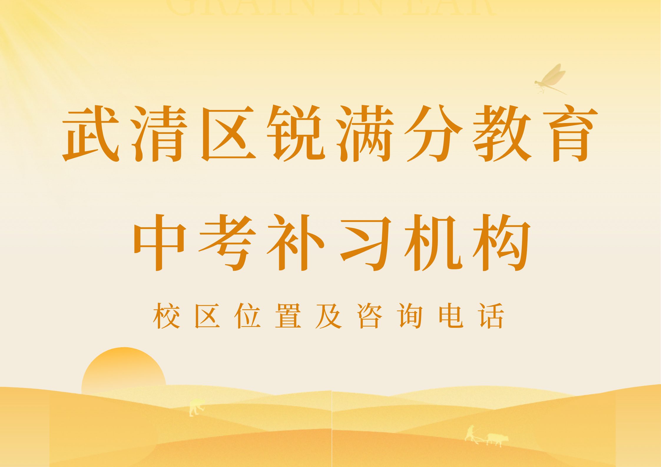 天津武清区中考一对一冲刺辅导老师推荐，锐满分教育中考专项辅导提分班课，锐满分教育官方咨询电话：400-1100-613(1)